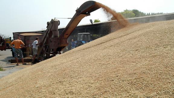 Ставропольский край экспортирует зерно нового урожая