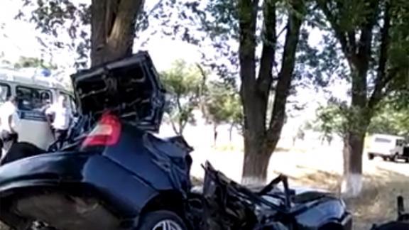 В Ипатовском районе «Хендай» врезался в дерево, два человека погибли