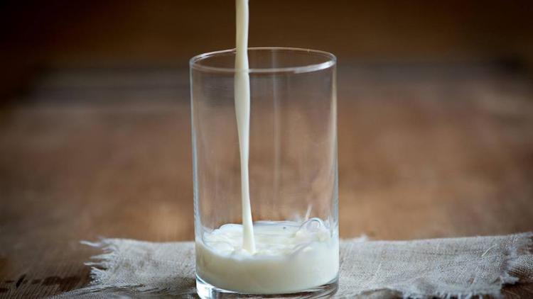 На Ставрополье выросло производство молока 