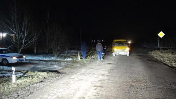 В Георгиевском районе водитель «ГАЗели» сбил двух пьяных пешеходов