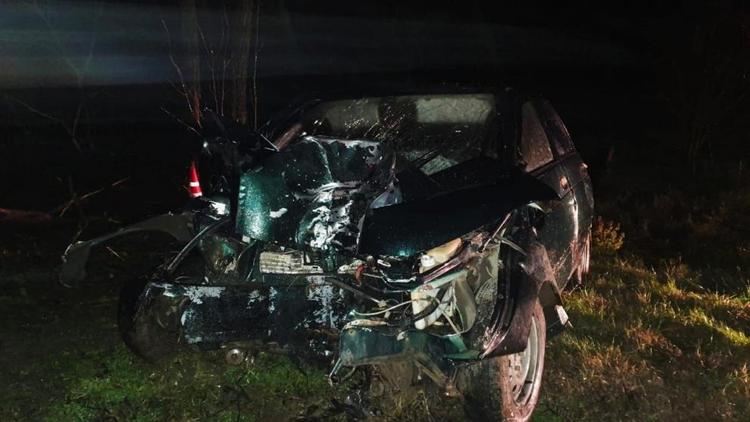 Водитель врезался в дерево на дороге в Курском округе Ставрополья