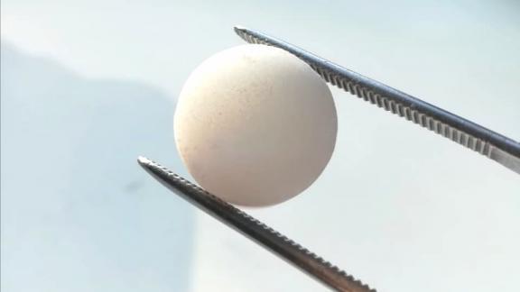 Ставрополье ведёт переговоры с Индией о создании производства в фармацевтической отрасли