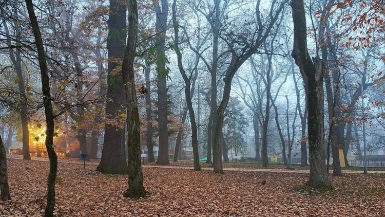 В селе Кугульта Грачёвского округа по нацпроекту благоустроили парковую зону