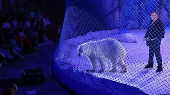 В Кисловодске в День России показали бесплатное цирковое шоу детям бойцов СВО