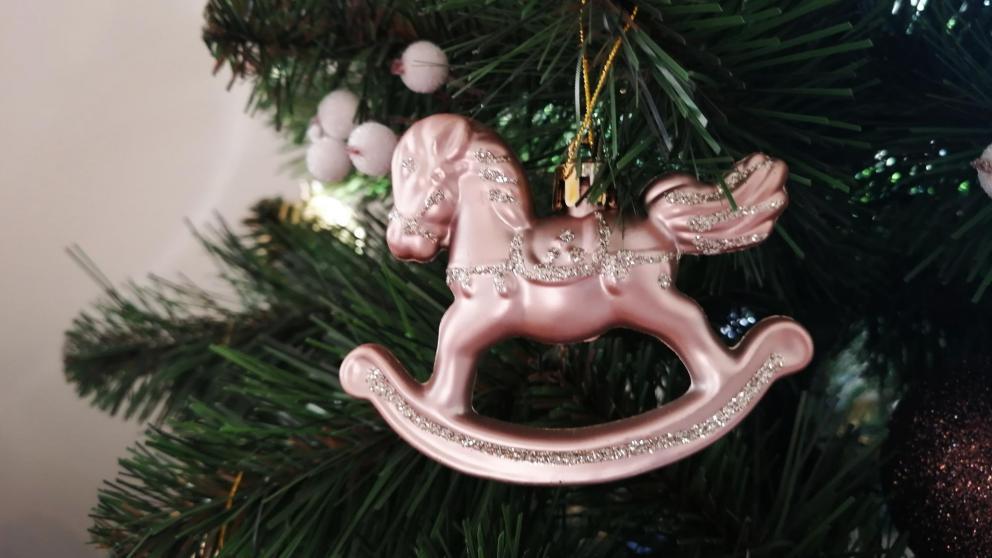 В Ставрополе для семей участников СВО провели экскурсию