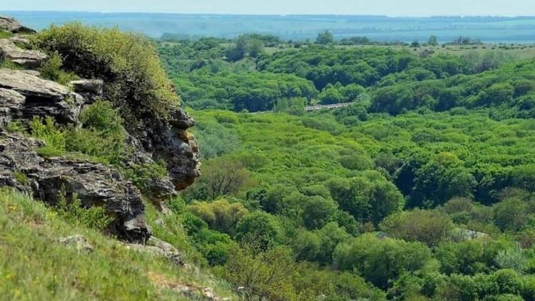Природное богатство Ставрополья представлено на выставке «Россия» в Москве