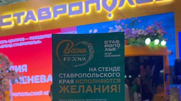 На выставке «Россия» прошла неделя минэкономразвития края