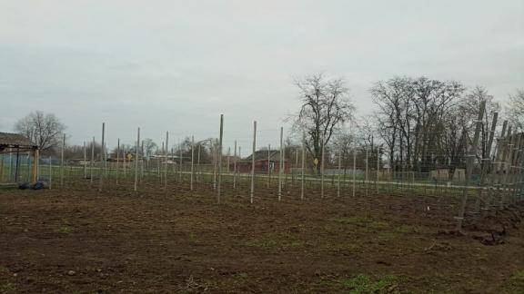 Ещё один школьный сад появился в Степновском округе