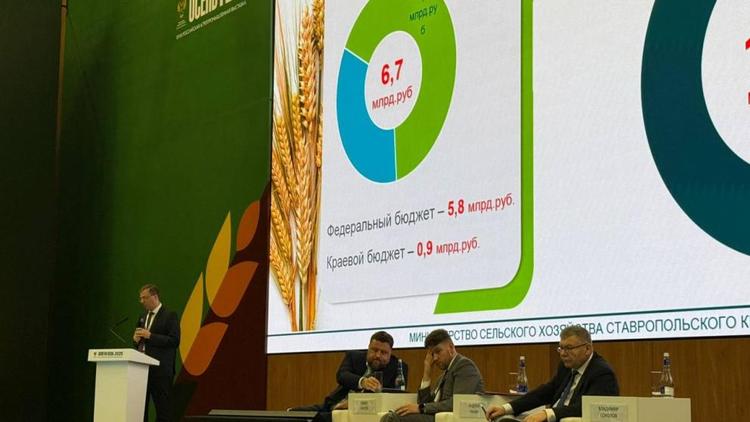Опыт Ставрополья в растениеводстве высоко оценен на «Золотой осени»