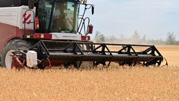 В Будённовском округе приступили к жатве хлебов