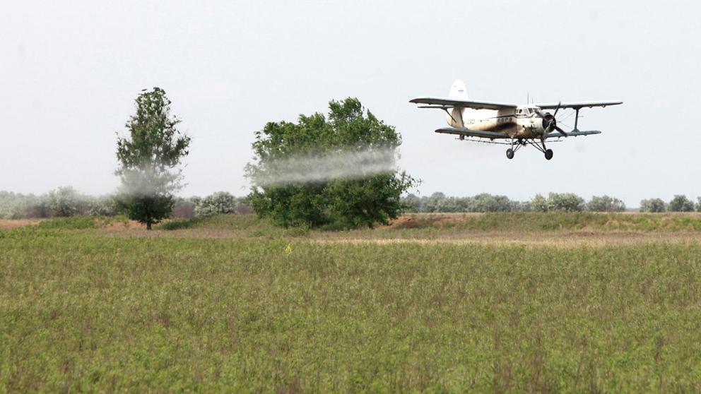 На Ставрополье зарезервировали средства для борьбы с саранчой