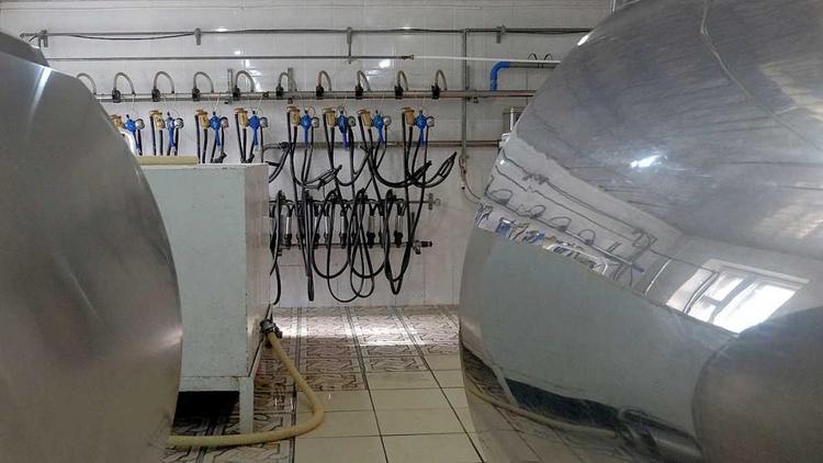 Ставрополье с начала года экспортировало около 200 тонн молочной продукции