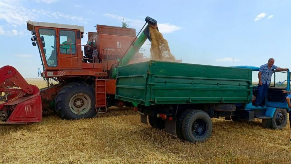 На Ставрополье уже обмолочено около четырех процентов всей площади зерновых