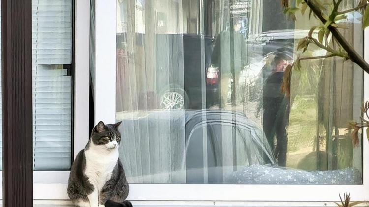 На Ставрополье общедомовые чаты многоквартирных домов открыли в МАХ