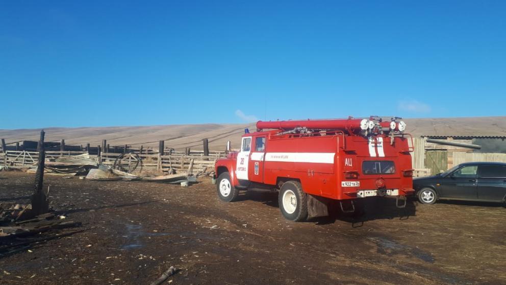 На Ставрополье кошара вспыхнула в сети неподалёку от Нового Янкуля
