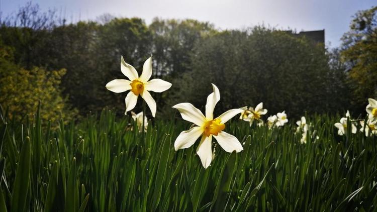 На Ставрополье в выходные ожидают жару и дожди