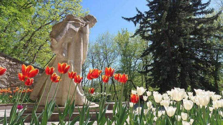 В Железноводске запустили конкурс ко дню рождения Пушкина