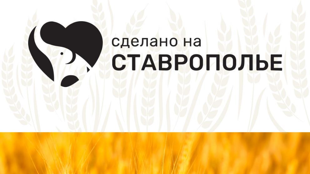 На Ставрополье стартовал приём заявок для выхода на первый краевой маркетплейс
