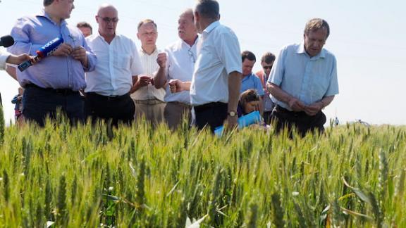 В селе Дербетовка прошло выездное заседание правительства Ставропольского края