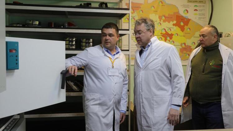 Губернатор Ставрополья: Край готов увеличивать объёмы выращивания яблок