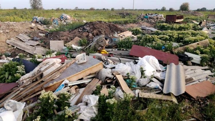 Останки животных уберут со свалки в Курском округе