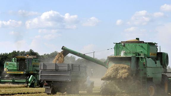 Жатва на Ставрополье приближается к экватору, убрали 43 % площадей