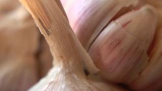 Чеснок - король всех пряностей