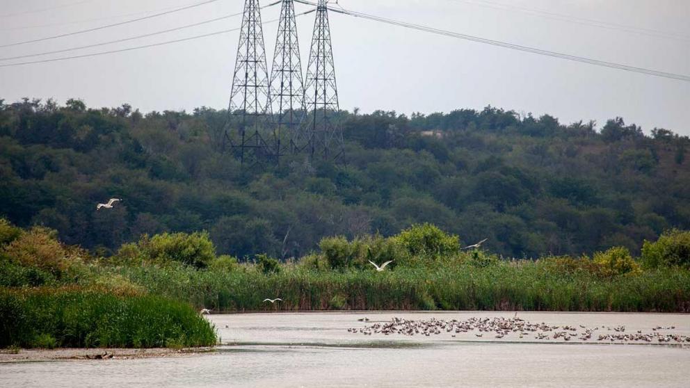 Экология Новотроицкого озера: Ставропольская ГРЭС бьёт тревогу