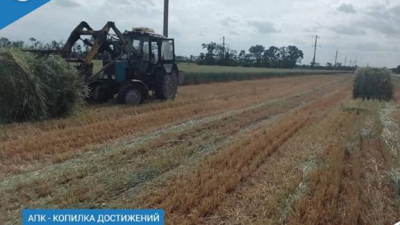 В Ипатовском округе заготовки сенажной массы превысили плановый показатель
