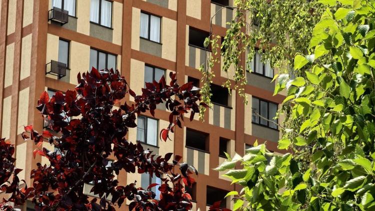 Эксперт СКФУ рассказала об особенностях ипотеки на Северном Кавказе