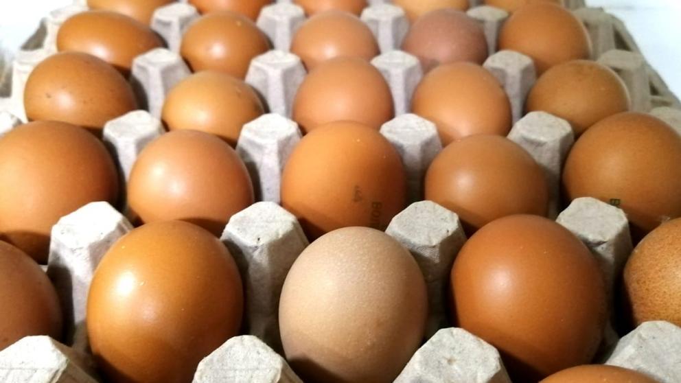 Представители минэка и прокуратура Ставрополья проверят цены на куриные яйца