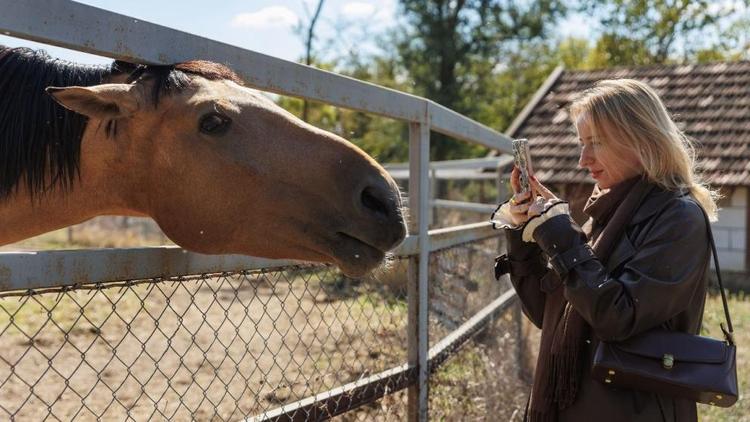 Туристско-информационный центр Ставрополя отмечает год работы