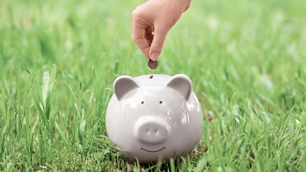 На Ставрополье инвесторам предложили рассмотреть свыше 220 участков под застройку