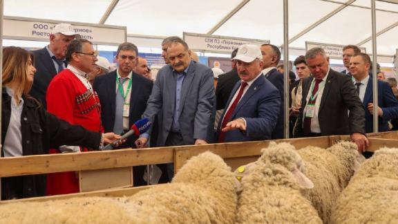 Ставрополье взяло сразу два Гран-при на Российской выставке племенных овец и коз в Дагестане