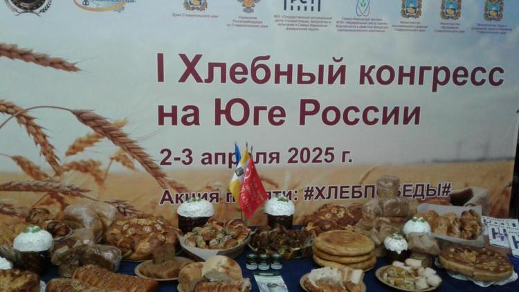 На Ставрополье начал свою работу I хлебный конгресс Юга России