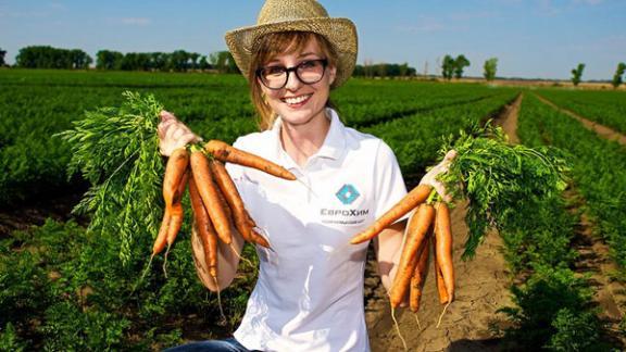 В 2016 году «ЕвроХим» увеличит поставки минеральных удобрений в Ставропольский край