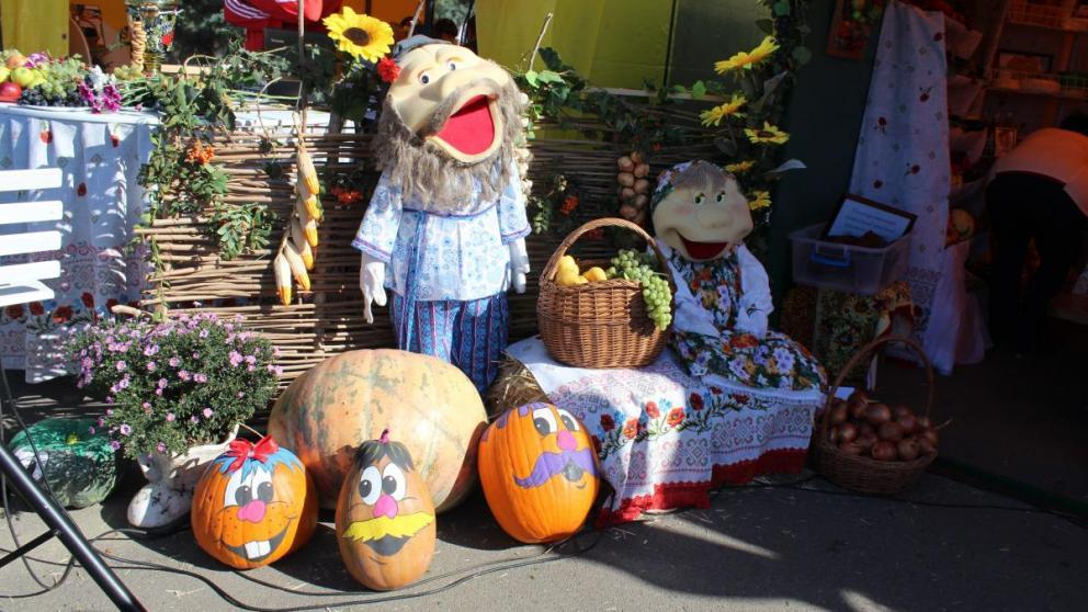 Больше 8 млн тонн зерновых произведено на Ставрополье в сложных условиях