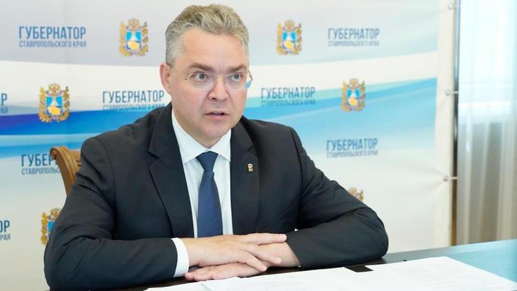 Владимир Владимиров предложил не проводить новогодние торжества в органах власти края