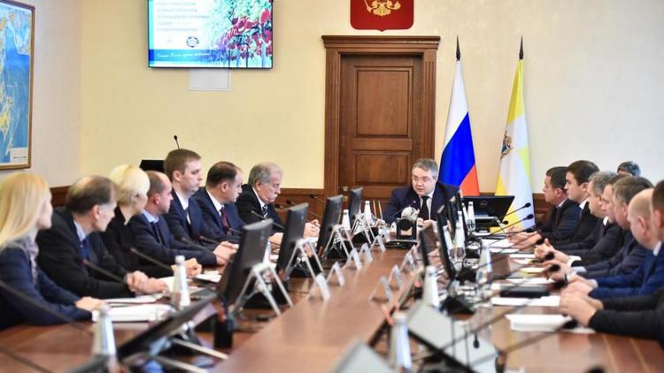 Клубничную теплицу на 6 га могут построить до конца 2018 года на Ставрополье