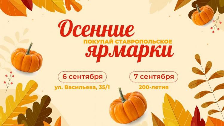 Ставрополь готовится к открытию осенних ярмарок выходного дня