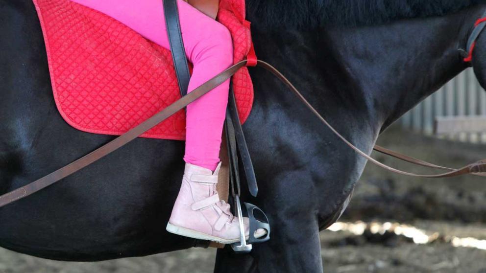 В Будённовском округе Ставрополья развивается сельский туризм