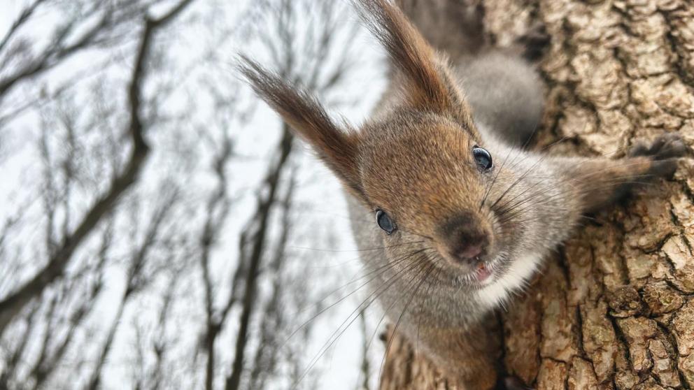 Плюс 15 градусов прогнозируют на Ставрополье в начале недели