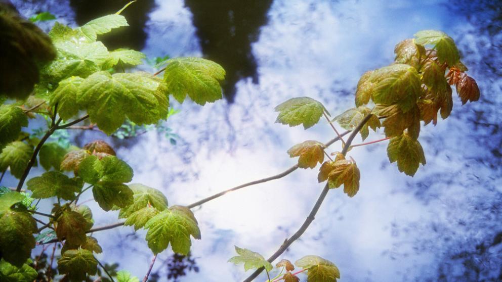В Ставрополе повысилась загрязненность воздуха