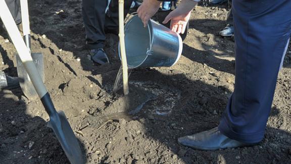 Около 7 тысяч деревьев высажены во время субботника в Ставрополе