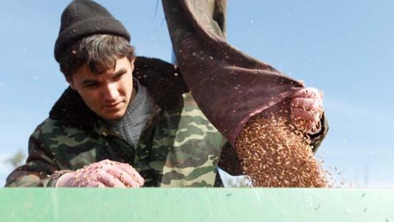 Правительство Ставрополья предоставит аграриям гарантии по обеспечению банковских кредитов