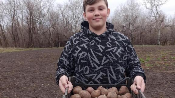 Урожай картофеля, плавание и кулинария: школьник из Кочубеевского округа раскрыл секреты тайм-менеджмента