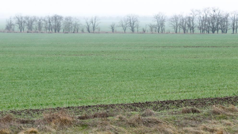 Ставропольские аграрии пользуются льготными кредитами