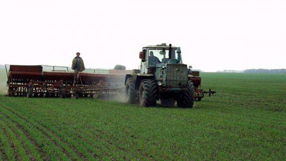 Ответственность за распашку пастбищ будет ужесточена