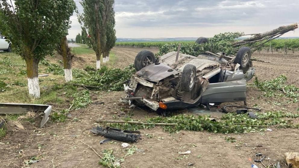 Нетрезвый водитель врезался в дерево в Будённовском округе Ставрополья