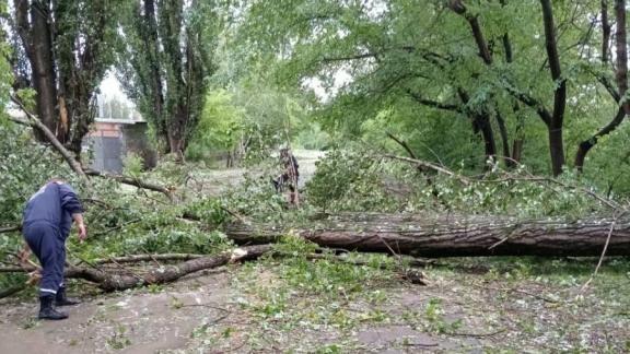 В Пятигорске распиливают и убирают поваленные ветром деревья